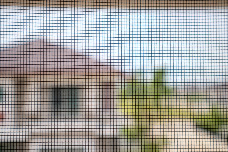 Security Screen Door